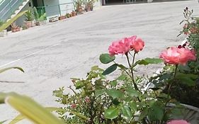Gorizia vacanze
